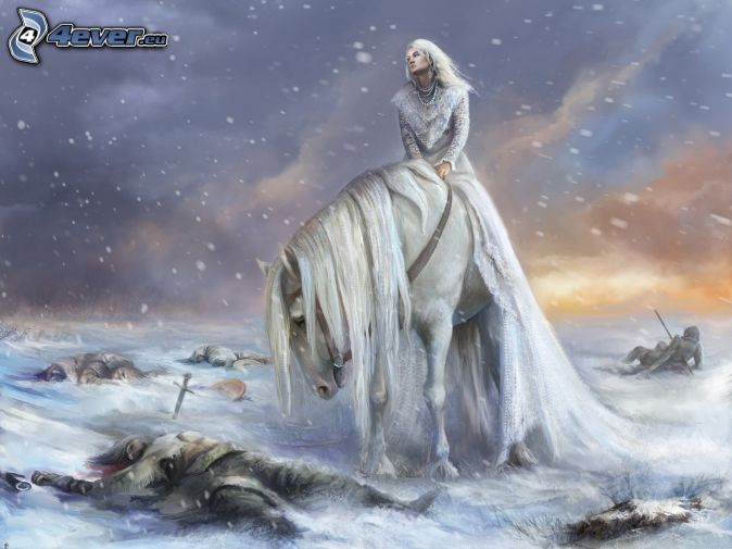 caballo blanco , nieve